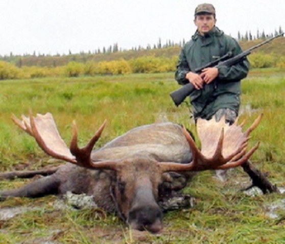 Moose Hunting in Alaska