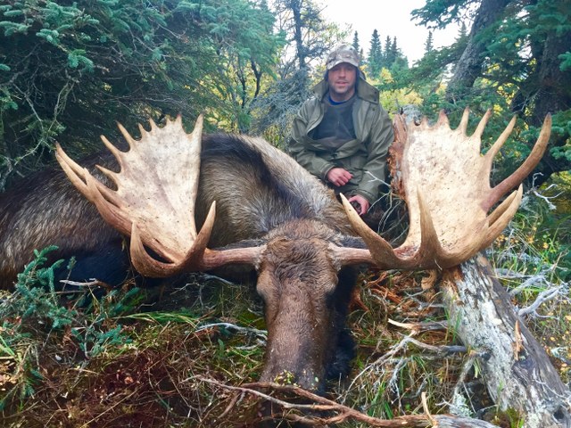 Alaska Moose Hunts