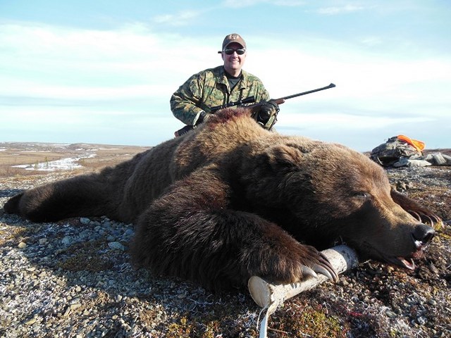 Alaska Brown Bear Hunting