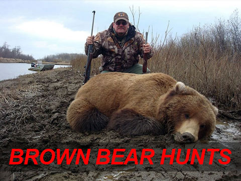 Alaska Brown Bear Hunting