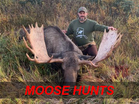 Moose Hunting in Alaska