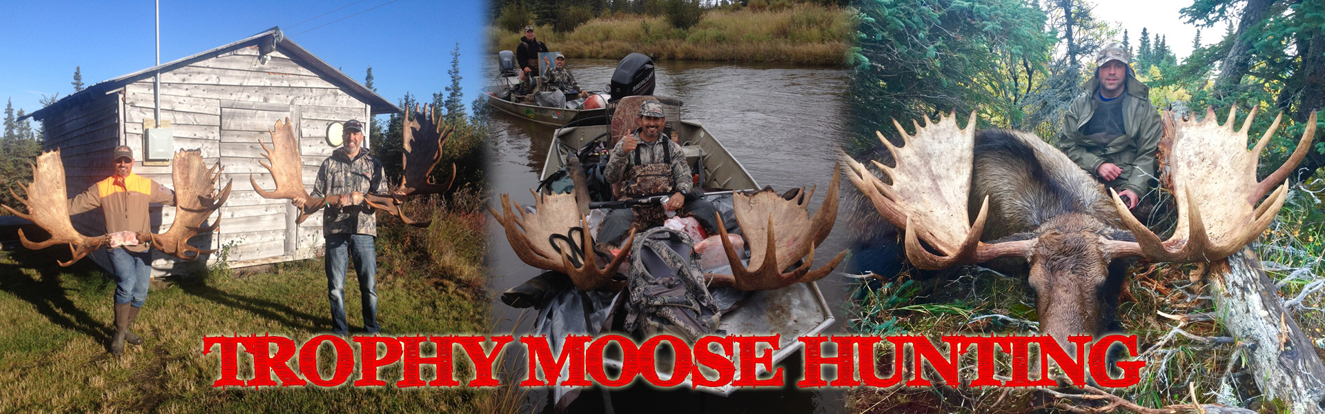 Moose Hunting in Alaska