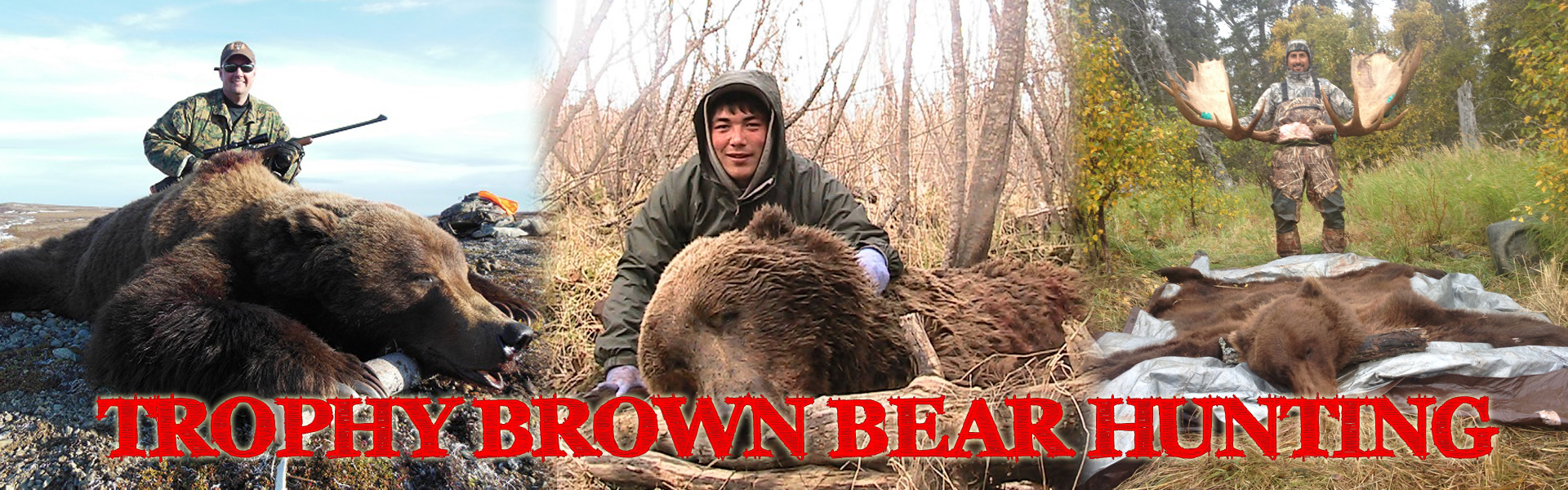 Brown Bear Hunting in Alaska